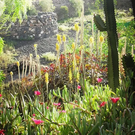 Timanfaya Tinajo